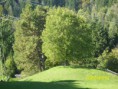 /album/fotos-sommer/dsci1658-jpg/