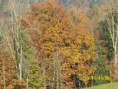 /album/fotos-sommer/dsci1763-jpg/